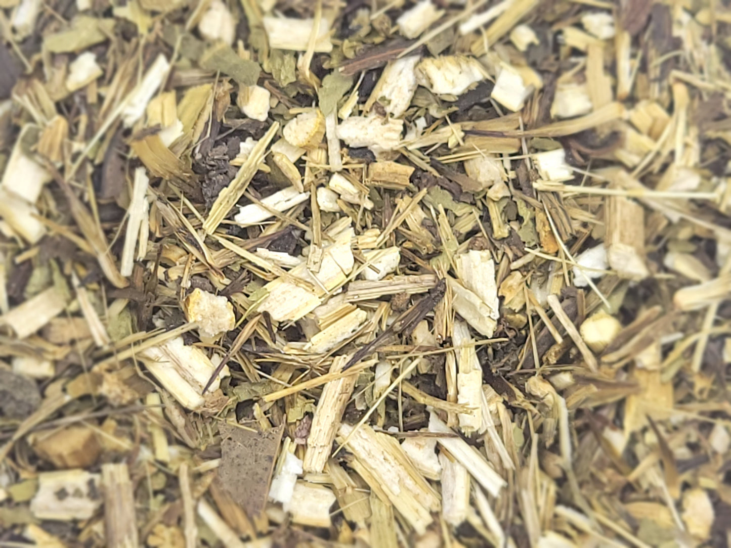 Echinacea