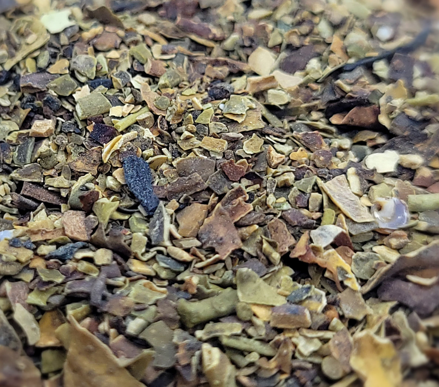 Bladderwrack