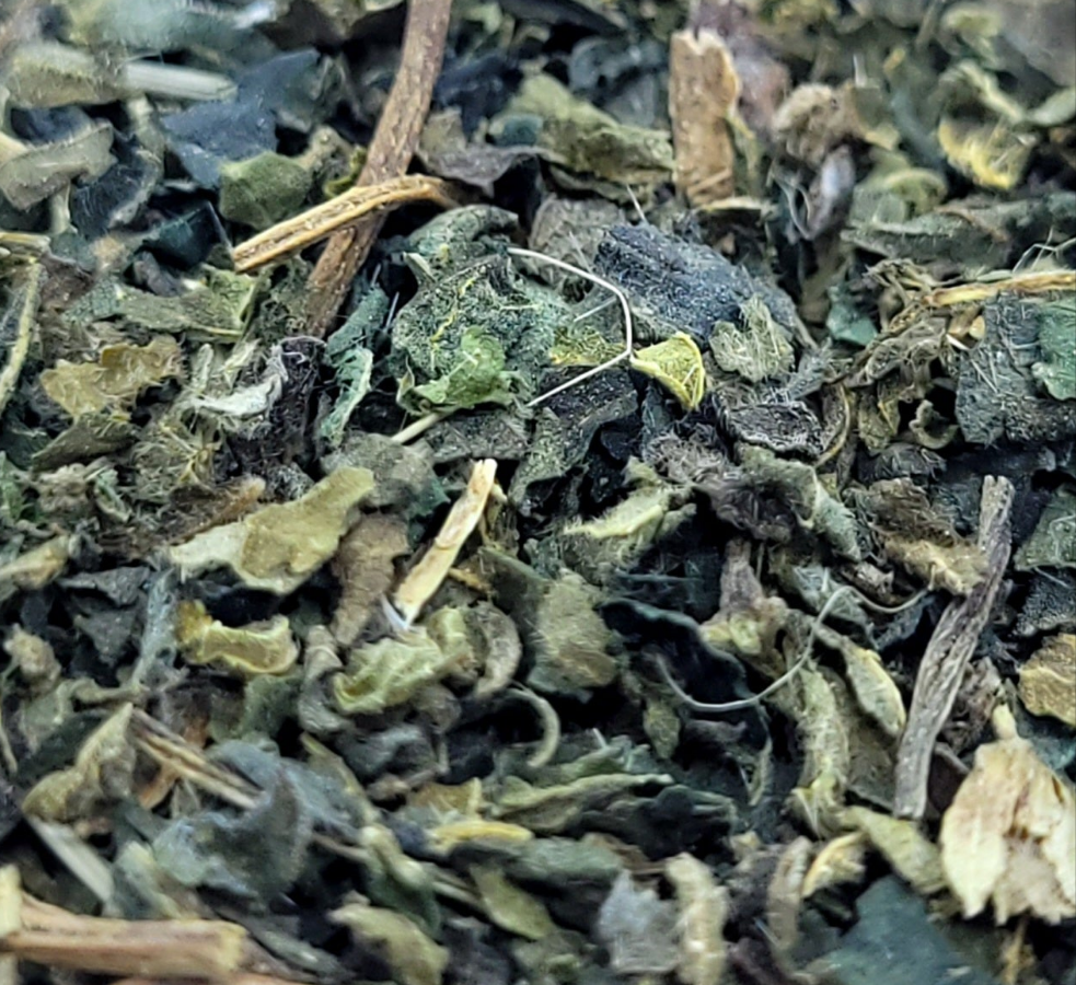 Stinging Nettle