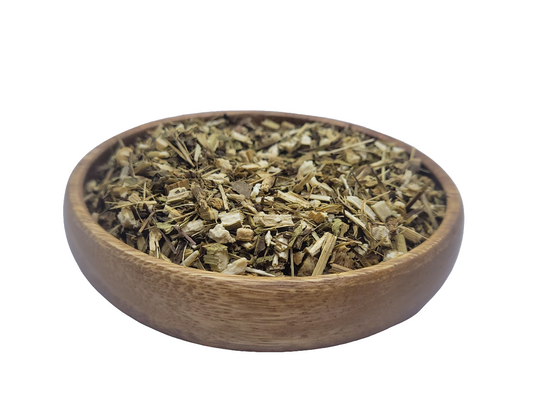 Echinacea