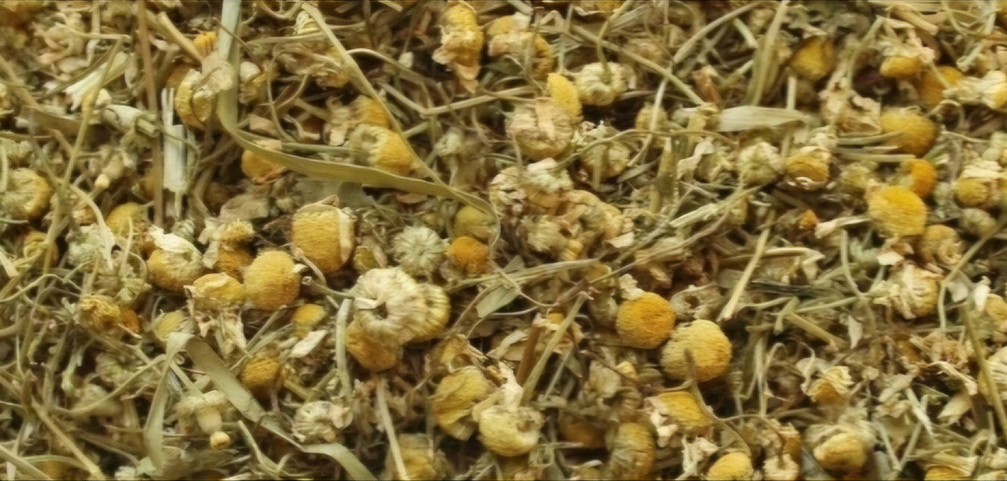 Chamomile