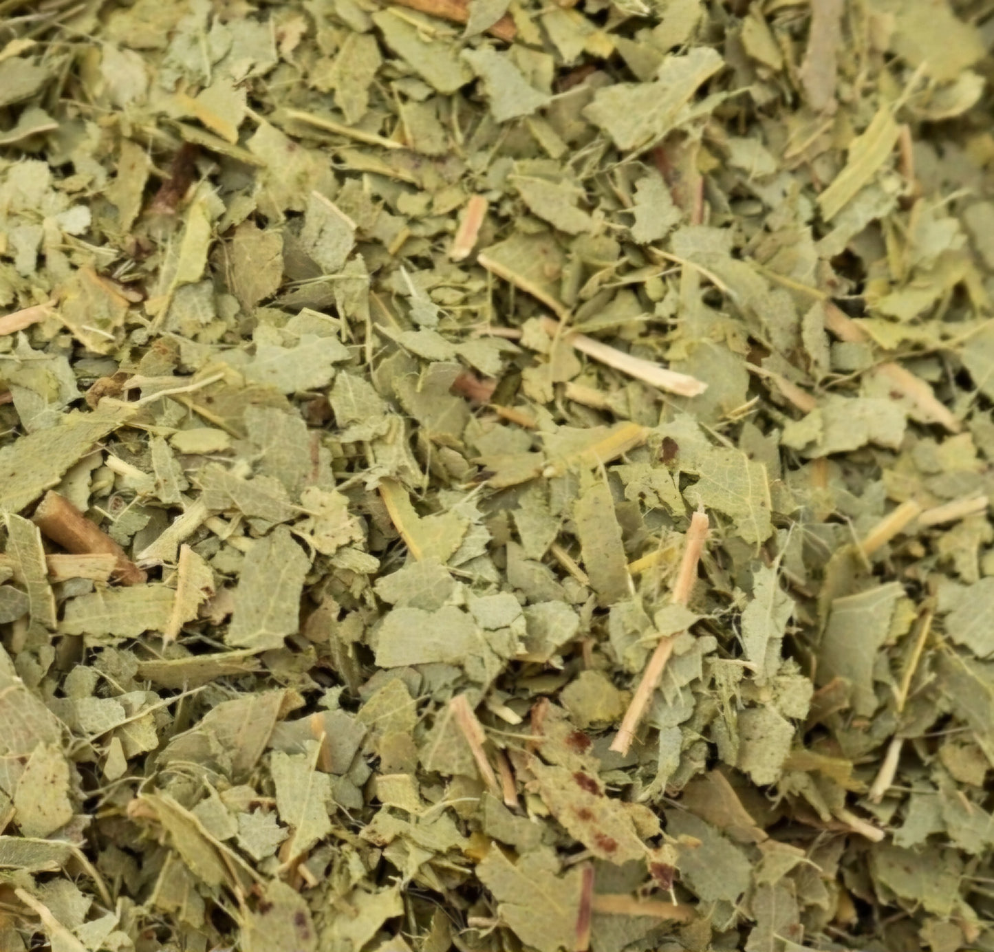 Eucalyptus