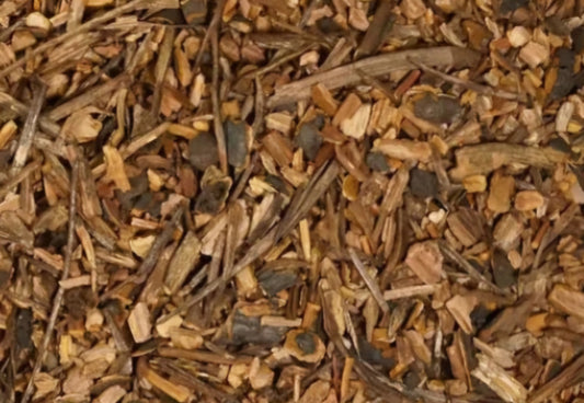 Sarsaparilla