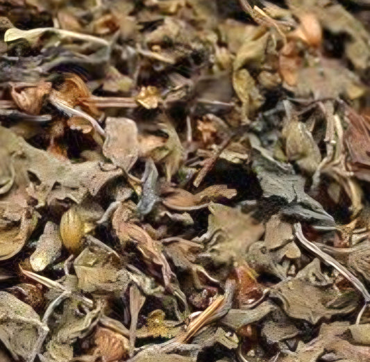 Tulsi