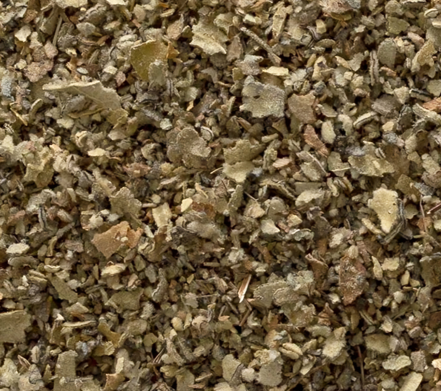 Mullein