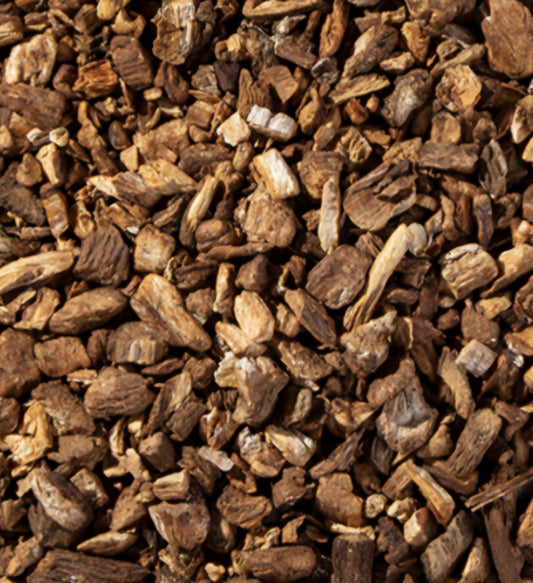 Burdock Root