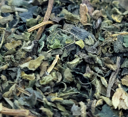Stinging Nettle