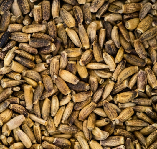 Milk Thistle Seed