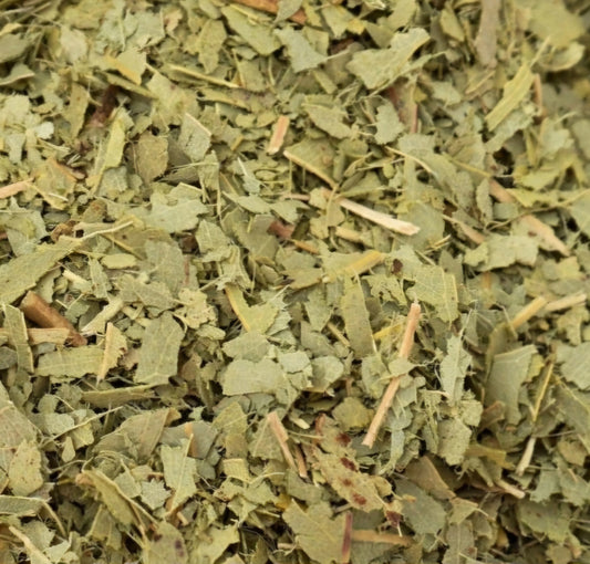Eucalyptus